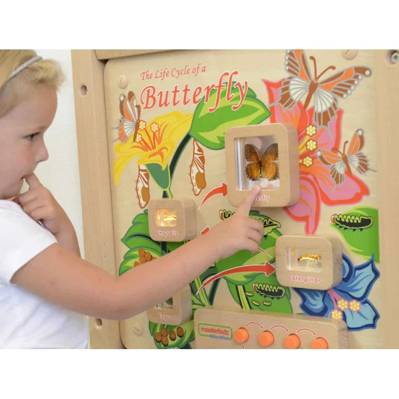 MASTERKIDZ Tablica Edukacyjna Ścienna Cykl Życia Motylka - zabawki-dla-dziewczynki