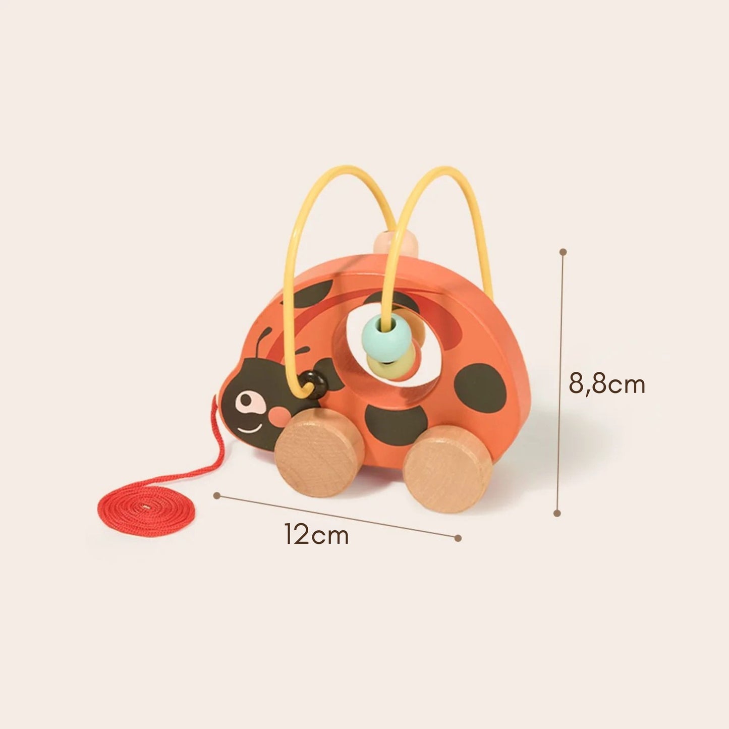 6-TOOKY TOY Zestaw Biedronka do Zabawy Rozwojowej 3w1-6