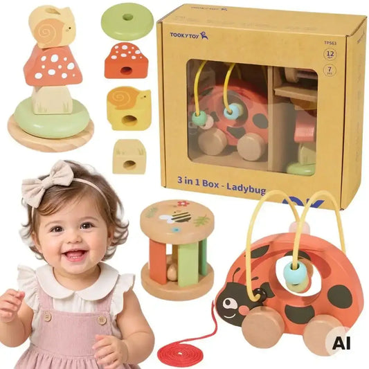 TOOKY TOY Zestaw Biedronka do Zabawy Rozwojowej 3w1