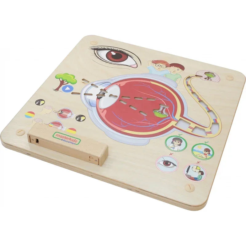 MASTERKIDZ tablica edukacyjna zmysł wzroku Montessori dla dzieci - zabawki-dla-dziewczynki