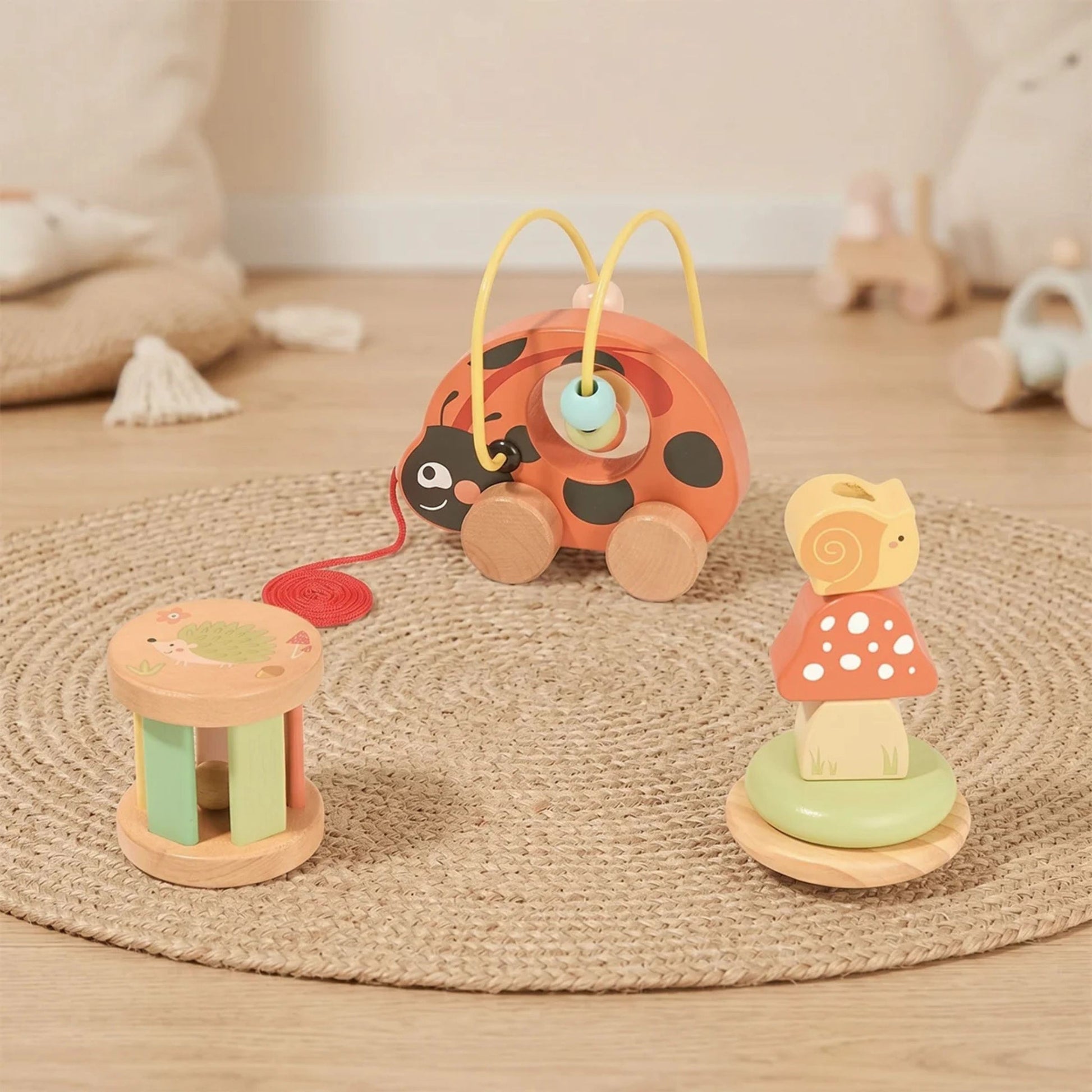3-TOOKY TOY Zestaw Biedronka do Zabawy Rozwojowej 3w1-3
