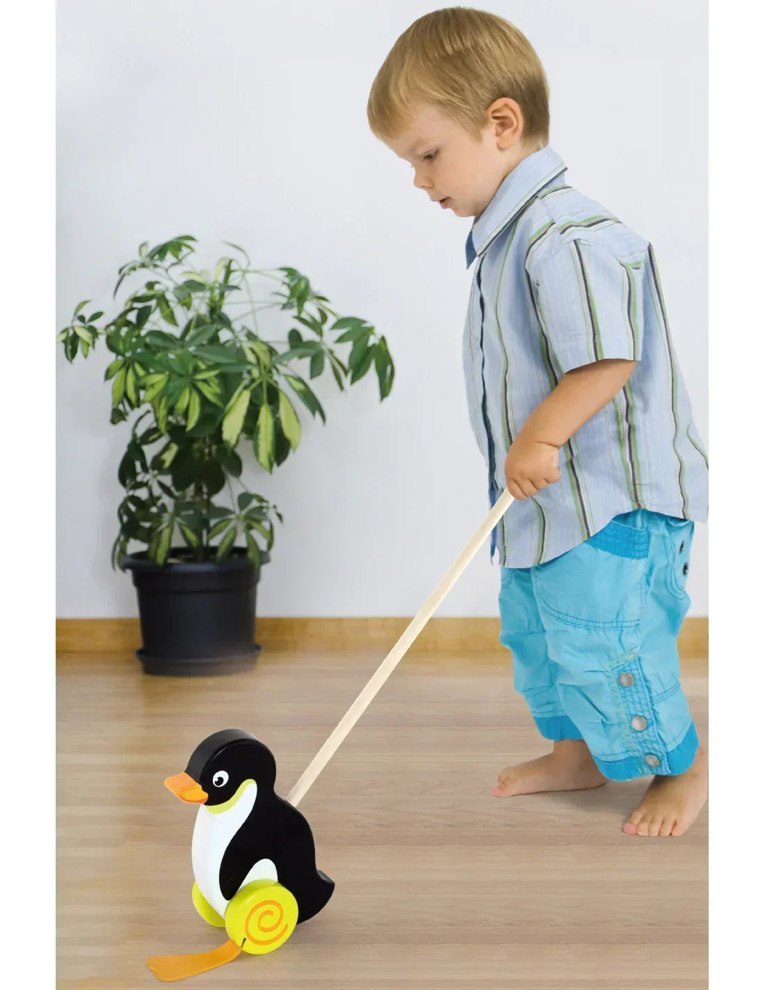3-Viga Toys Drewniany Pchacz Pingwin-3