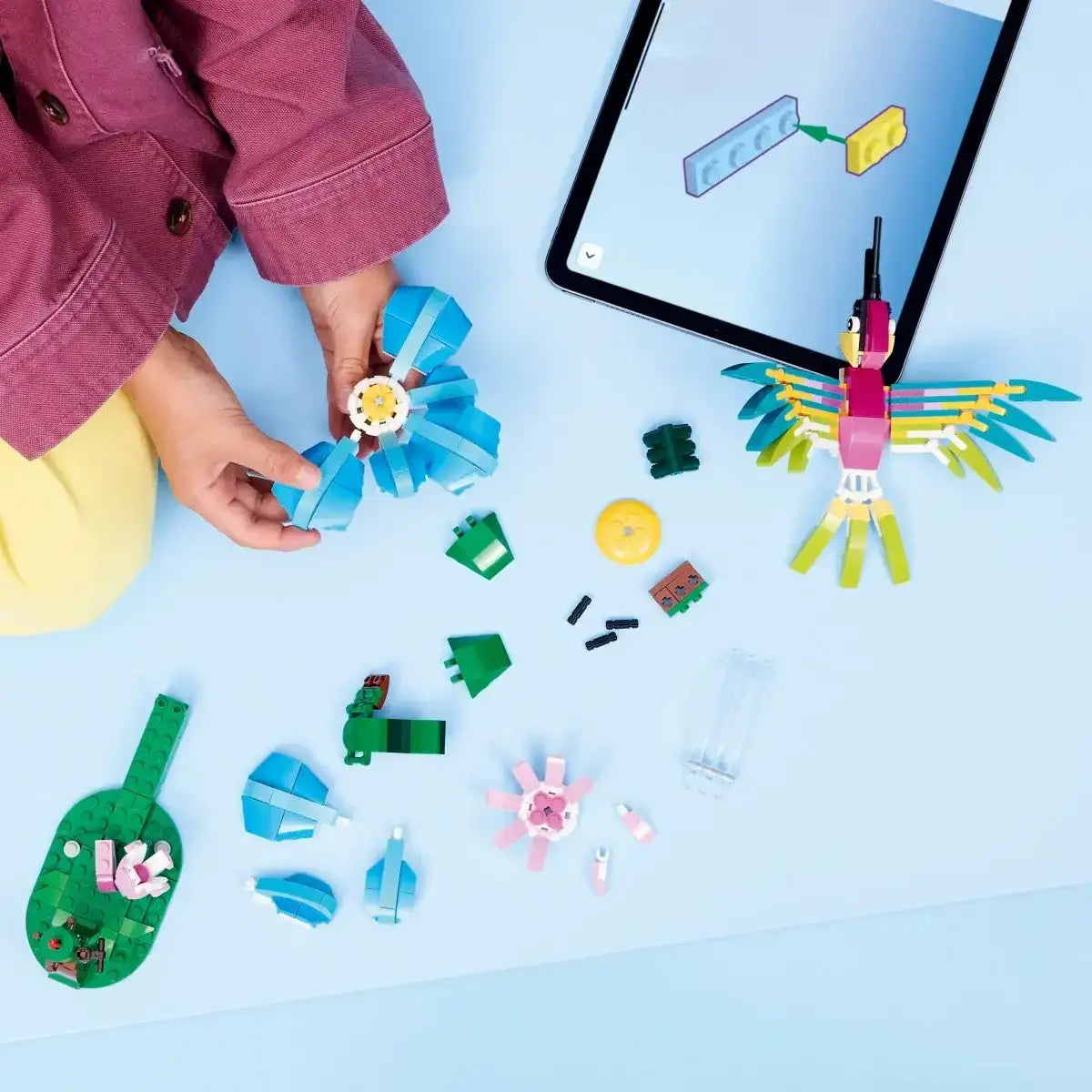 Kolorowy koliber LEGO Creator zestaw 3w1