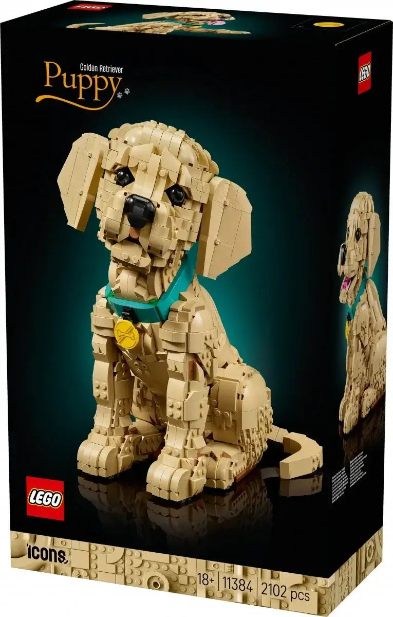 LEGO Icons golden retriever zabawka do budowy - zabawki-dla-dziewczynki