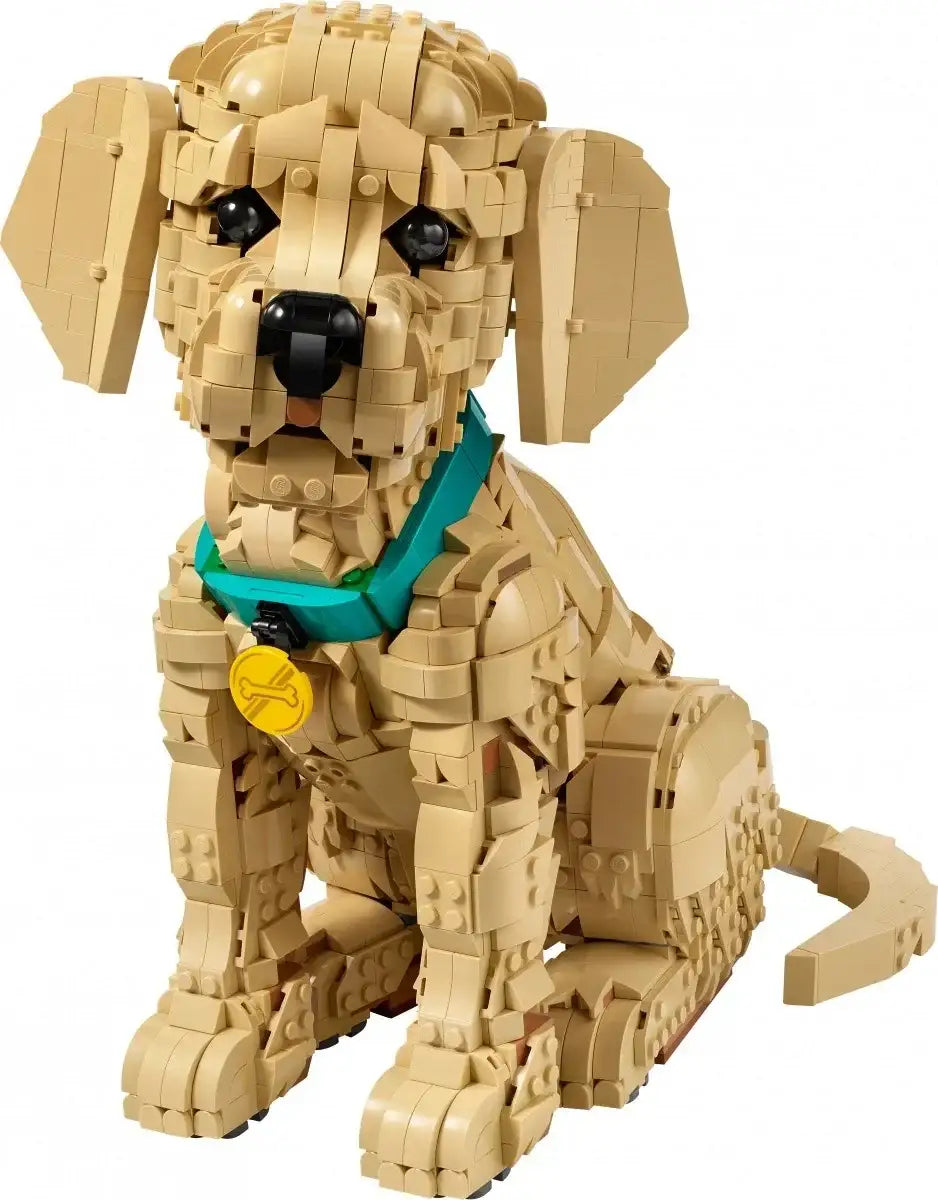LEGO Icons pies golden retriever model klocki - zabawki-dla-dziewczynki
