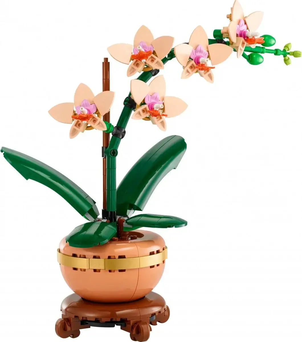 LEGO Botanicals orchidea zestaw kwiatowy dla dorosłych - zabawki-dla-dziewczynki