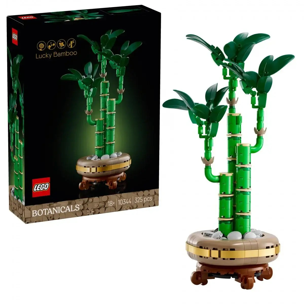 LEGO Botanicals 10344 zestaw klocków Dracena sandera dla dzieci - zabawki-dla-dziewczynki